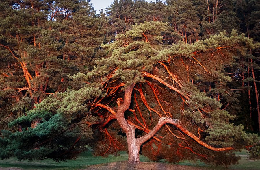 Не пропустите «Ускользающие мгновения» - Культурные и спортивные мероприятия