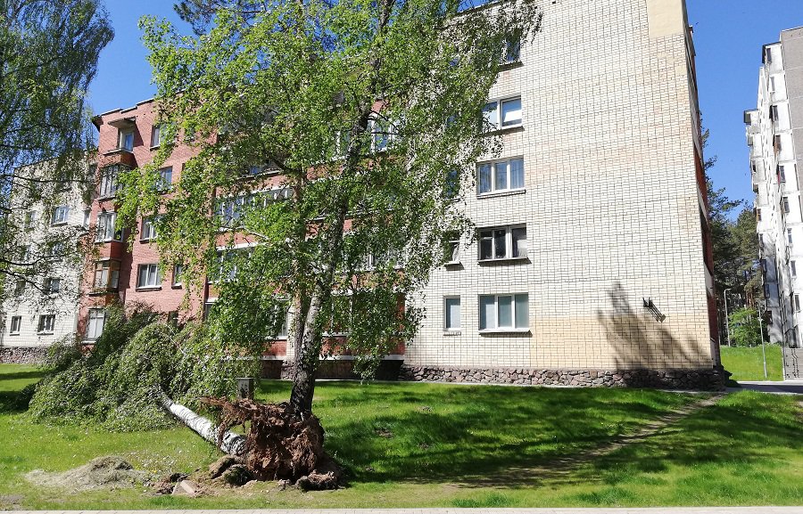 Шквальный ветер в субботу не прошел для города без последствий