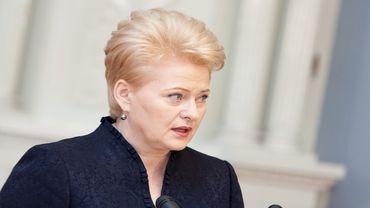 Глава Литвы попросила денег на избирательную кампанию