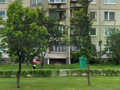 Чтобы оборудовать автостоянку, придется вырубить 11 лип - В Висагинасе