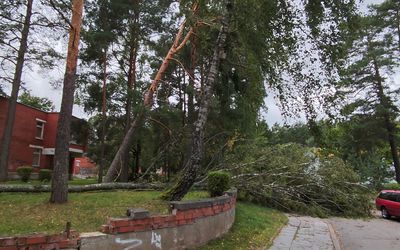 Буря 22 августа стала одной из наиболее разрушительных в Литве за последние два десятилетия - Происшествия и криминал