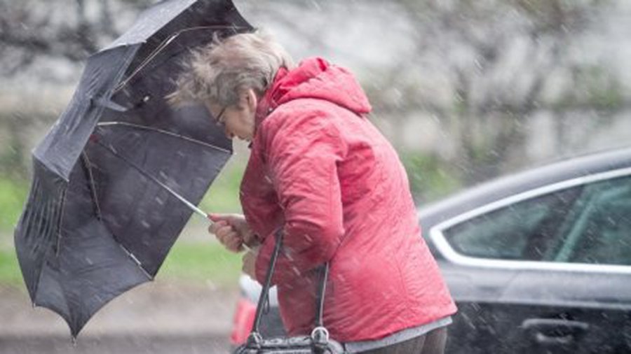 У синоптиков есть и хорошие, и плохие новости - Литва и страны Балтии