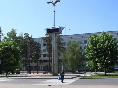 Почетные граждане Висагинаса - Висагинас и висагинцы