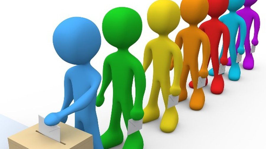 Опрос: Верите ли Вы в прозрачность выборов в Литве? - В Висагинасе