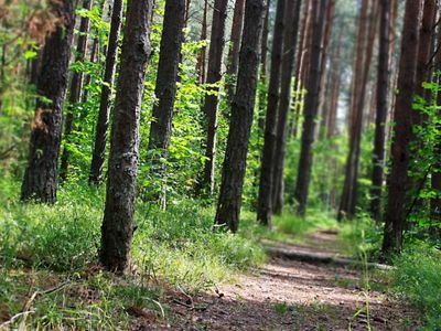 Висагинцы слышат красоту - Без цензуры