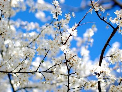 Погода: в выходные потеплеет, но ненадолго - Это интересно