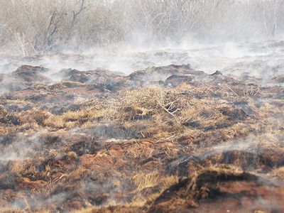 В этом году в Литве в пожарах погибли 70 человек - Литва и страны Балтии