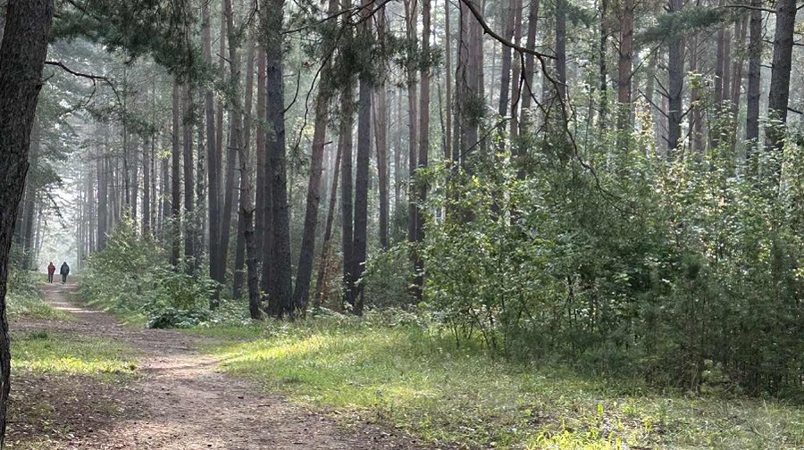 Сентябрь разыгрался не на шутку: воздух прогреется до 30 градусов - Литва и страны Балтии