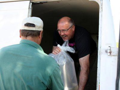 В литовские реки выпустили миллионы судаков - Хобби, отдых и развлечения