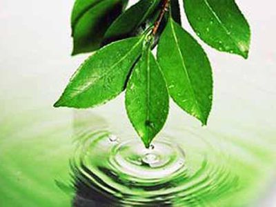 Литва не сумела освоить средства, направленные ЕС на экологические проекты - Литва и страны Балтии