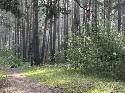 Сентябрь разыгрался не на шутку: воздух прогреется до 30 градусов - Литва и страны Балтии