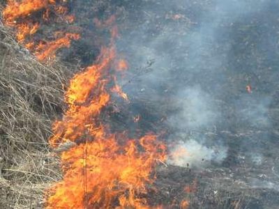 Пожарные предупреждают: не жги прошлогоднюю траву! - В Висагинасе