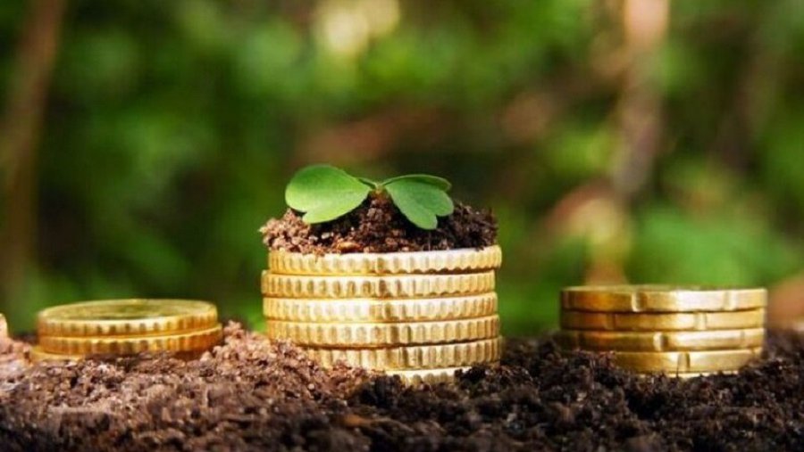 Последний день уплаты земельного налога: жители Литвы должны внести около 61 млн. евро - Литва и страны Балтии