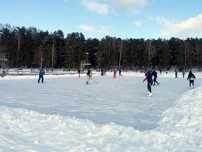 Бесплатные коньки в рамках проекта «Будь активным зимой» - каждые выходные. - В Висагинасе