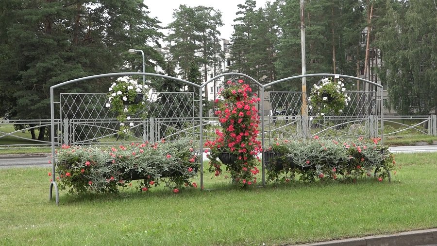 В этом году свое 47-летие Висагинас будет отмечать почти две недели (видео) - В Висагинасе