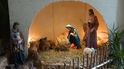 С праздником святого Рождества! (видео)