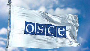 Литовские политики из-за участия России решили бойкотировать Парламентскую ассамблею ОБСЕ
