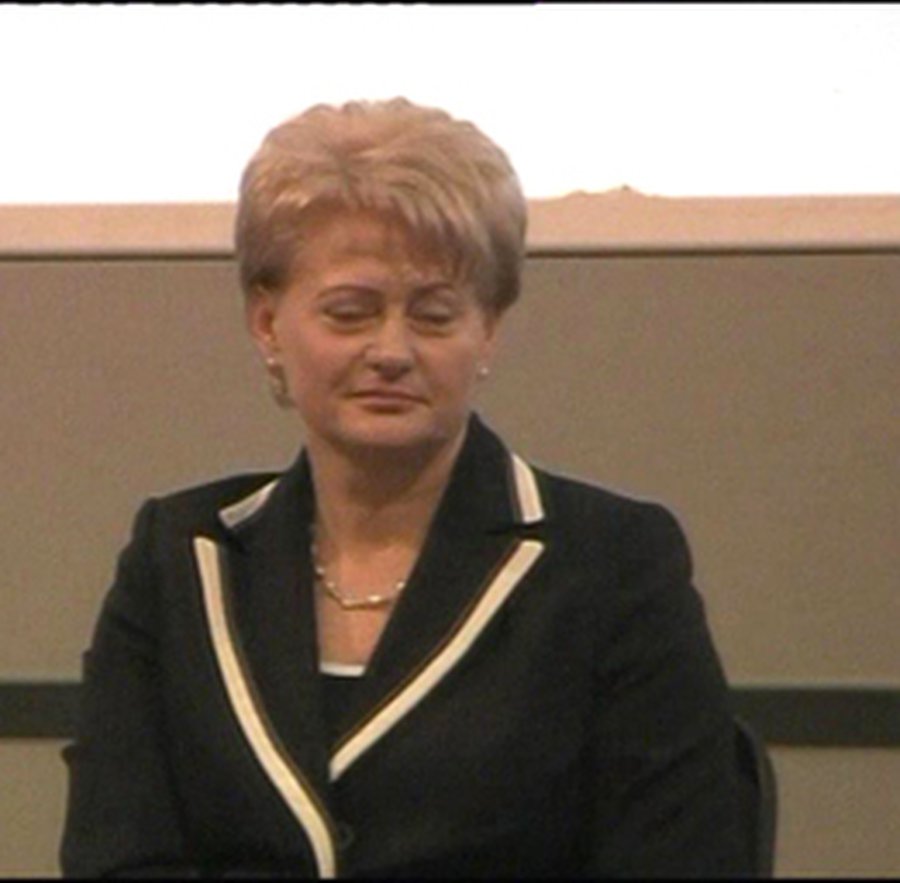 «Литва приземляется внезапно, жестко и болезненно»  - Литва и страны Балтии