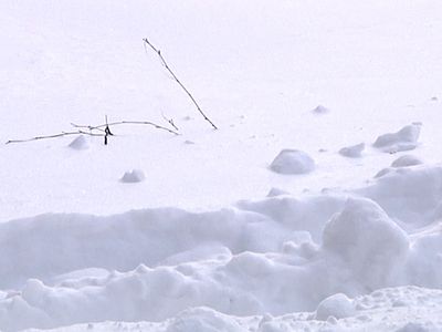 А снег идет … - В Висагинасе