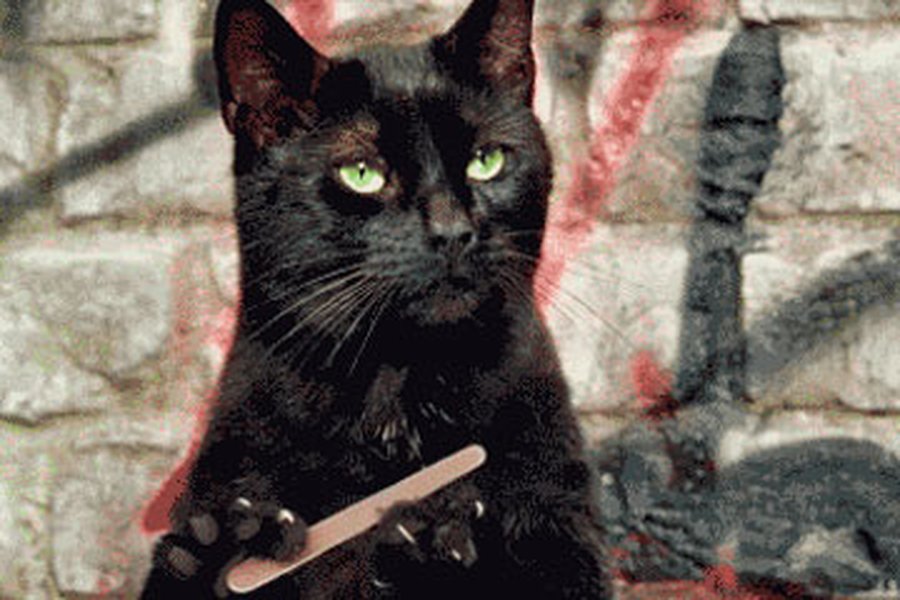 Пятница 13-го опасна только тем, кто в нее верит                                                                 - Наука и здоровье