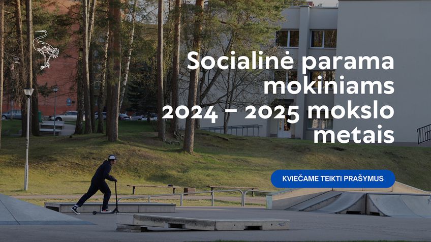 Социальная помощь учащимся в 2024-2025 учебном году