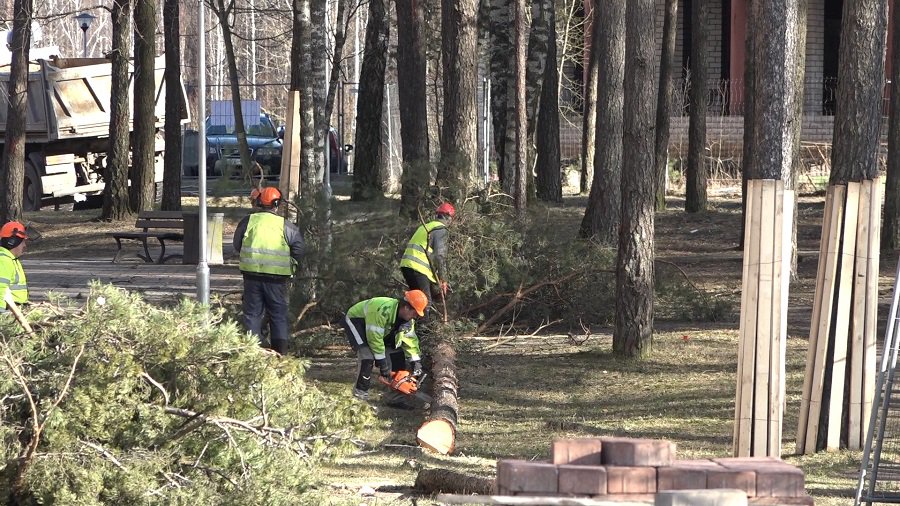 II этап модернизации теплосетей начался с вырубки деревьев - В Висагинасе