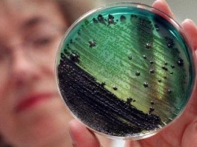 Осторожно: Пищевые заразные заболевания                                                                                                                - В Висагинасе