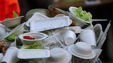 Депутаты Европарламента выступили за запрет на пластиковую посуду в ЕС с 2021 года