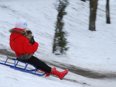«Маугли» пугает жителей, дети нашли применение  ангару «Ūkininkų turgus», а также другие происшествия прошедшей недели                                 - Происшествия и криминал