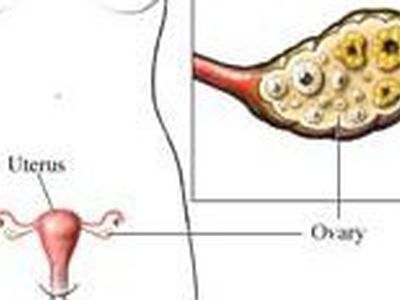 Испанка забеременела после пересадки «замороженной» ткани яичника - Наука и здоровье
