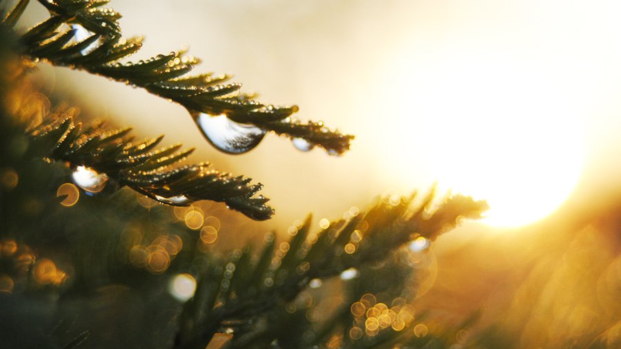 Прогноз: солнце вернётся в Литву в конце недели - Литва и страны Балтии