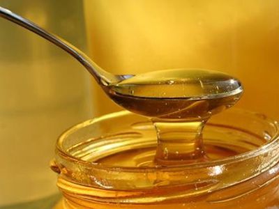 Мед способен уничтожать бактерии, устойчивые к антибиотикам, утверждают специалисты
                 - Наука и здоровье