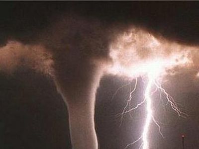 В Литве ждут разрушительного урагана - Литва и страны Балтии