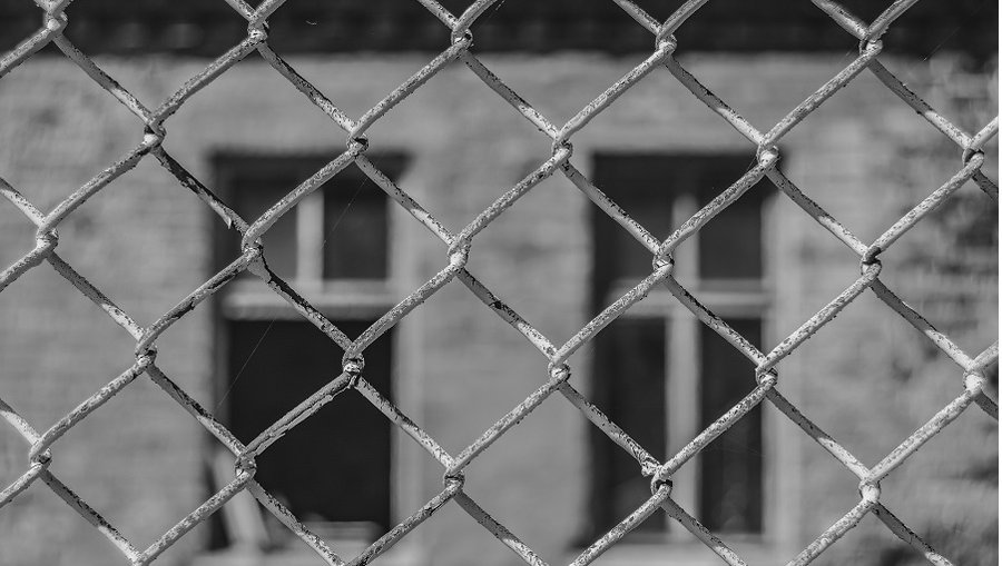 За прошлые сутки в Литву из Беларуси не впустили 96 мигрантов, вечером в Мядининкай унимали африканок - Происшествия и криминал