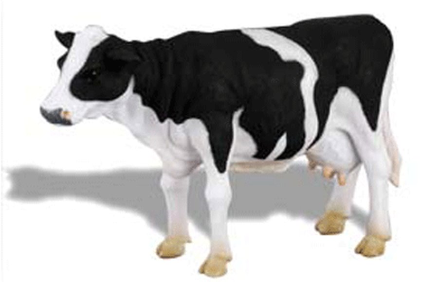 Молочные предприятия Литвы вновь подозревают в ценовом сговоре - Литва и страны Балтии