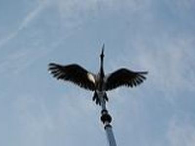 Добились. Но...
 - В Висагинасе