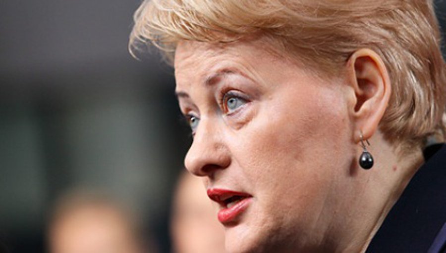 Президент Литвы: Путин нас не уважает - Литва и страны Балтии