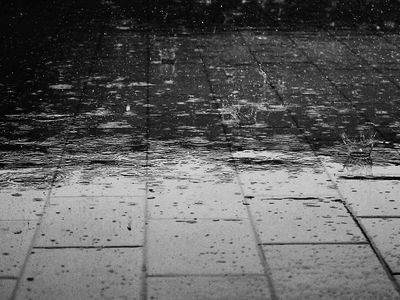 Последние попытки возвращения зимы: сильный ветер принесет осадки - Литва и страны Балтии