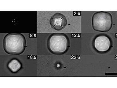 Квадратные пузыри - Наука и здоровье