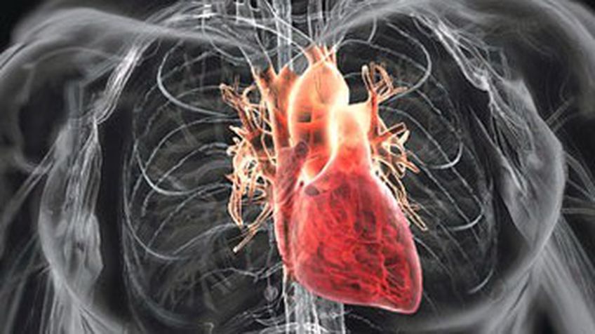 8 правил для здорового сердца