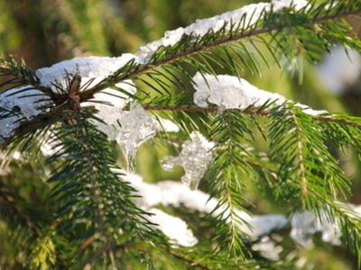Синоптики идут на попятную: суровой зимы не будет - В Мире