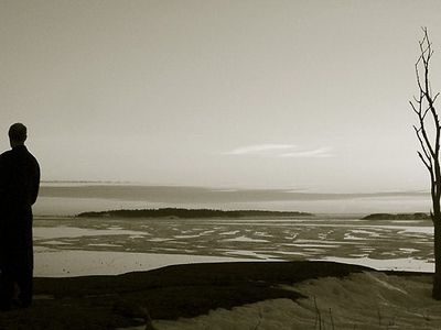 Одиночество оказалось опаснее курения - Наука и здоровье