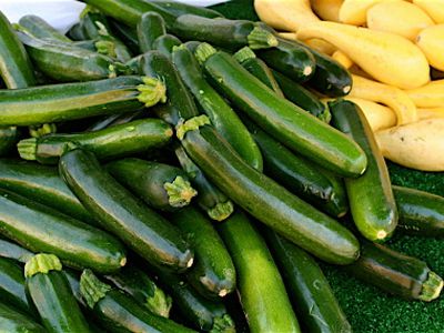 Кабачки: полезные свойства и противопоказания - Наука и здоровье