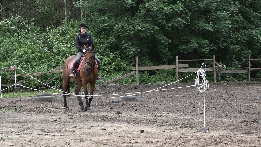 13 июня клуб «Baltas Mustangas» провел соревнования по конному спорту (видео) - В Висагинасе