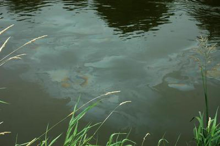 Nemune žemiau Jurbarko pastebėta didžiulė teršalų dėmė - Lietuva ir Baltijos šalys