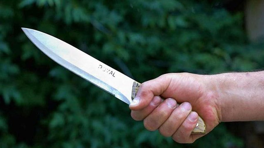 Юноши, обезглавившие в Москве бомжа во время празднования выпускного, играли в футбол его черепом - Происшествия и криминал