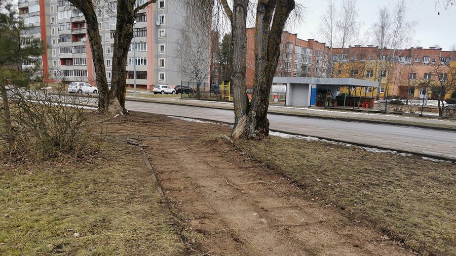 Куда пропадает тротуарная плитка? - В Висагинасе