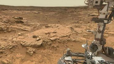 Марсоход NASA, вероятно, нашел жизнь на Марсе