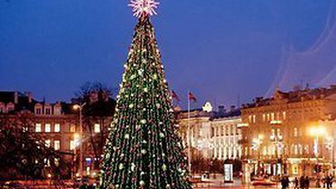 Вильнюсская рождественская елка — самая красивая в Балтии                                