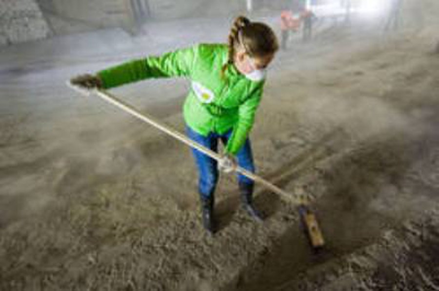 Moksleiviams darbą vasarai rasti sunku                 - Lietuva ir Baltijos šalys